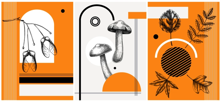 Collage style autumn vector illustration. Sketched leaves and dried flowers. Trendy fall design with botanical, geometric shapes, and abstract elements. For print, poster, card, social media